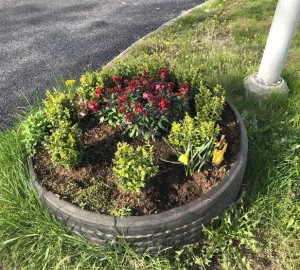 96bf69a0-3e1f-4046-8f5e-1355fadf15484